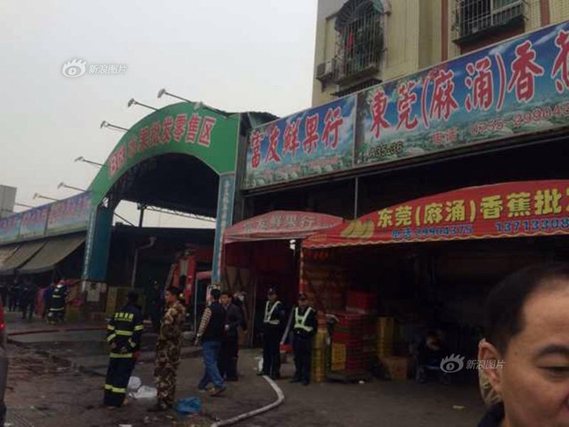 货物供应现状与展望